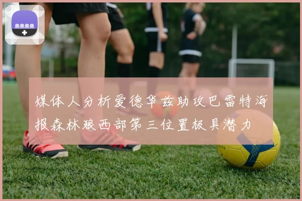 媒体人分析爱德华兹助攻巴雷特海报森林狼西部第三位置极具潜力